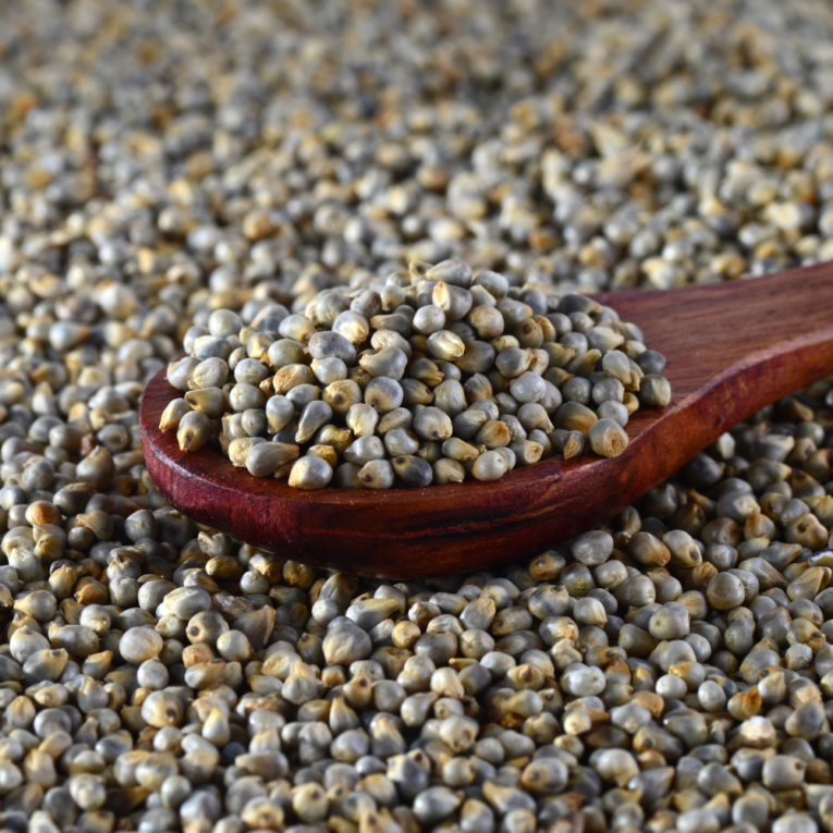 Pearl_Millet_-_Benefits_Nutritional_value_uses_recipes_and_more_2_1000x