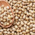 Soya-bean-seeds